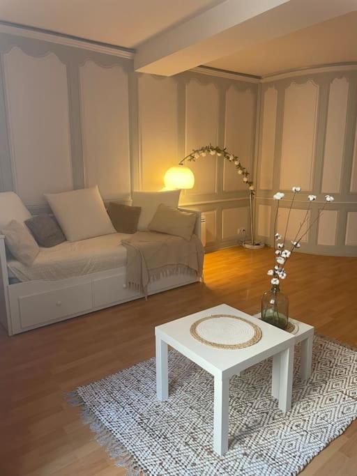 « au Coeur De Dole » Apartment *